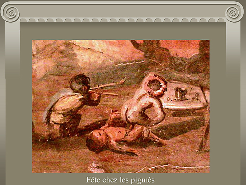 Le pont de Bezons: son histoire 1811-1871